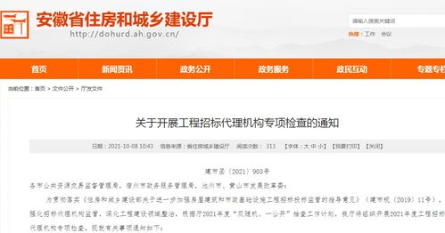 安徽开展工程招标代理机构专项检查 三大核心内容纳入重点核查范围